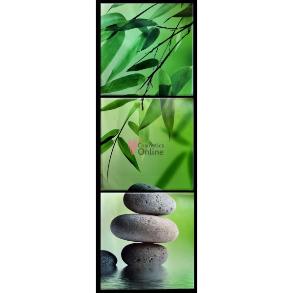 Tablou / Poster pentru decor salon  3D din vinil Cod  TPA081 XXL (3 bucati)